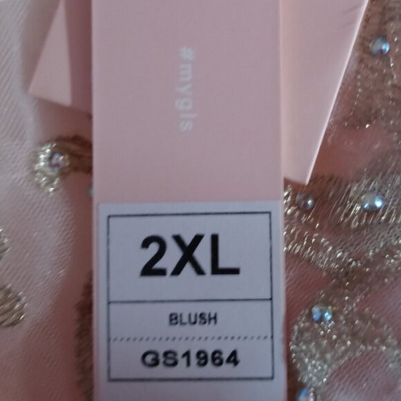 NWT Elizabeth K GS1964 Mesh Cocktail Dress Pink Size 2XL - Picture 10 of 10